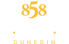 858 George Street Motel